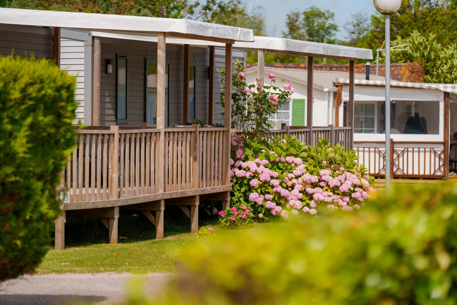Parcelle arborée et calme du Camping Pomme de Pin