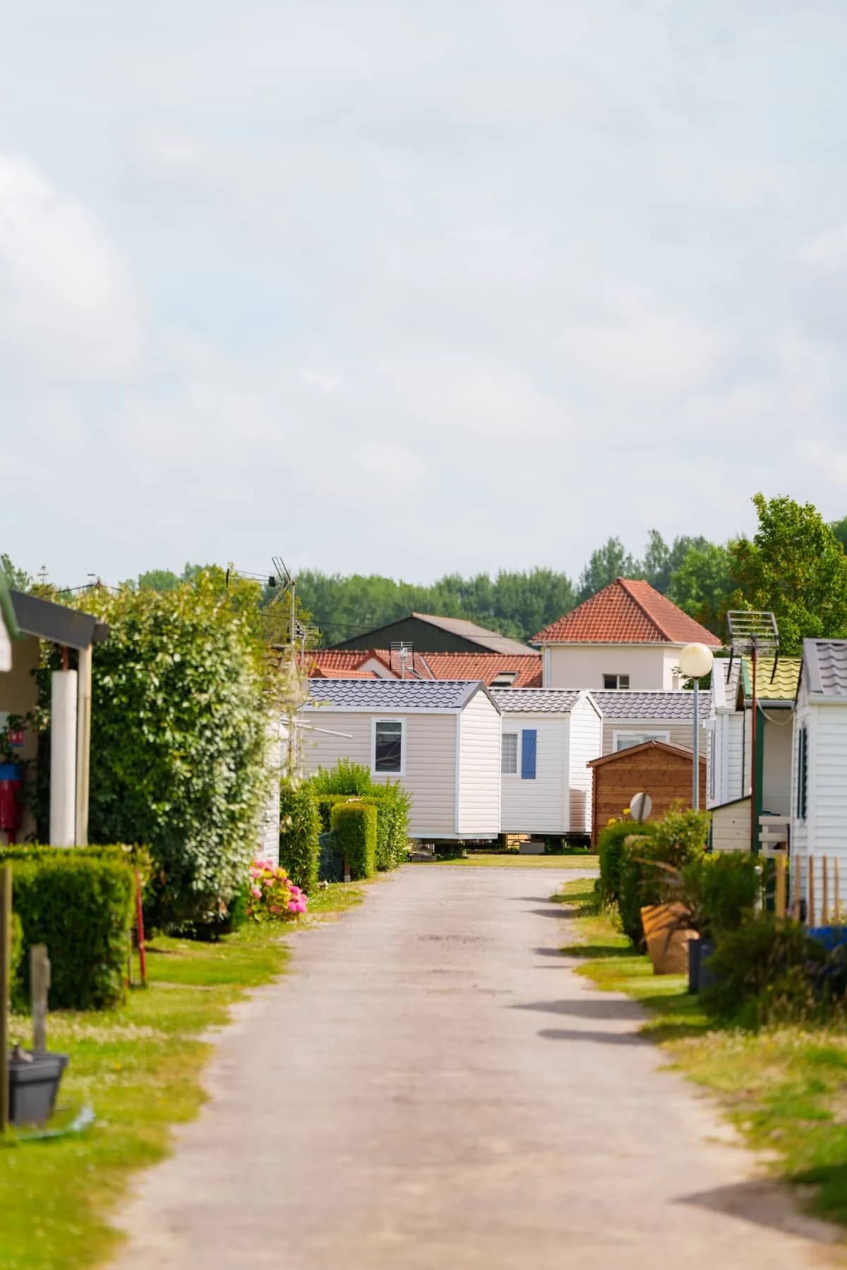 Vue verticale des allées et emplacements du camping