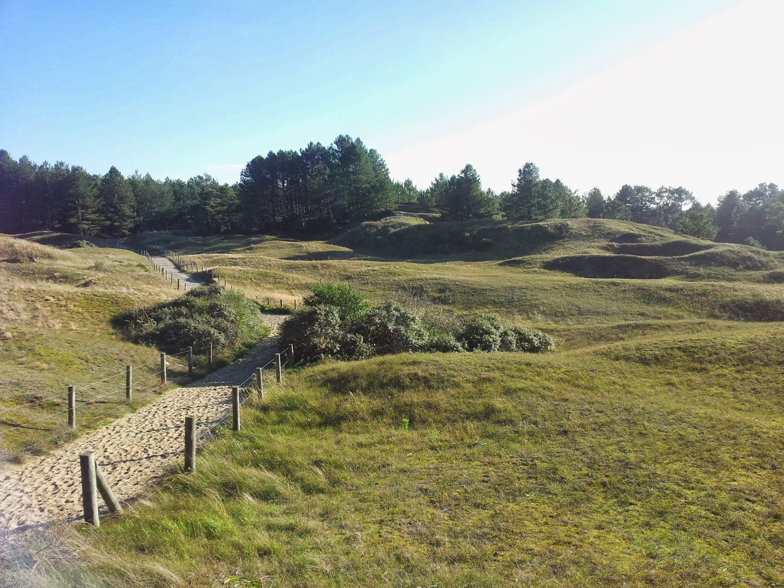 dunes du mont saint frieux