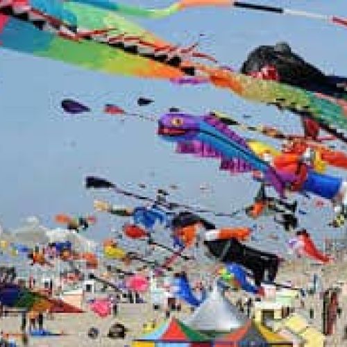 Rencontre des cerfs volants